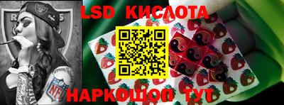 PSILOCYBIN Можга