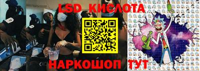 PSILOCYBIN Можга