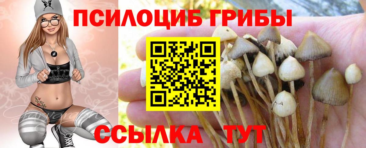 Великий Устюг  Псилоцибиновые грибы ЛСД  Вход с VPN  цены наркотик  Псилоцибиновые грибы прущие грибы 